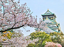 开云电竞-李磊受伤国足已备微调方案 鲁能二将谁最可能上位