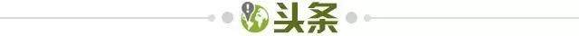 开云体育-【早报】老佛爷06年录音：劳尔是骗局！卡西是舔狗！